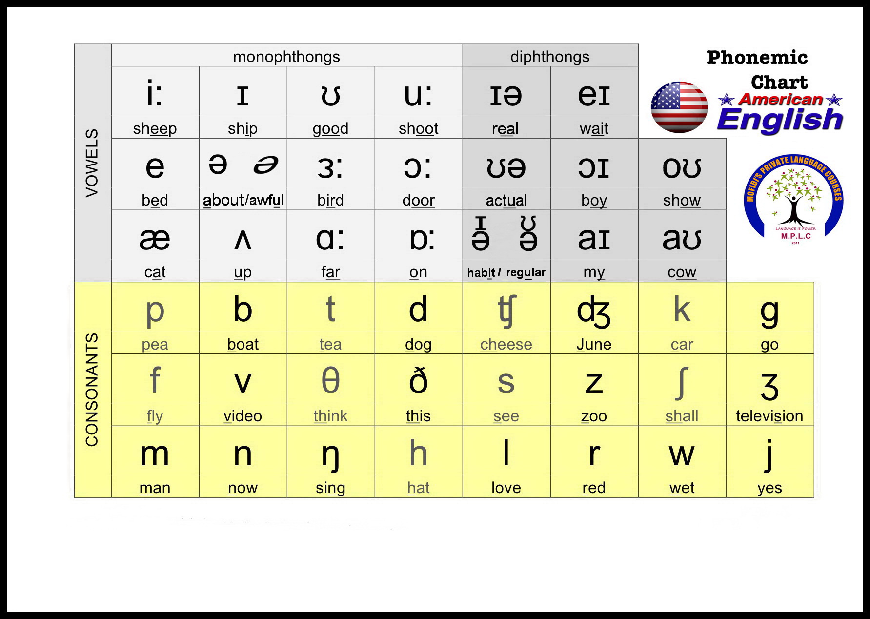 Tìm hiểu bảng IPA, bảng phiên âm và phân loại 44 âm trong tiếng Anh