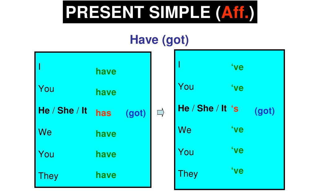 Употребление have has в английском. Have got present simple. To get в present simple. Have has в презент Симпл. Глагол to get в present simple.